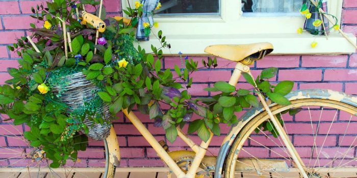 How To Convert An Old Bike Into A Beautiful Planter
